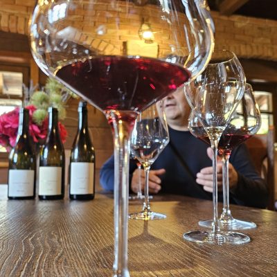 Glasses of Croatian red wine during a tasting at a Plešivica winery