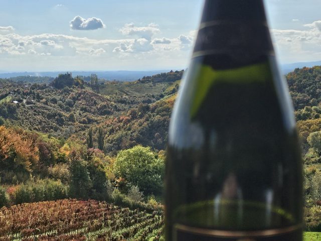Traditional-method sparkling wine from Plešivica.
