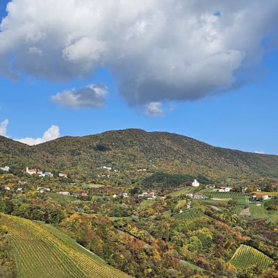Panorama of vineyards and rolling hills in the Zagreb wine region