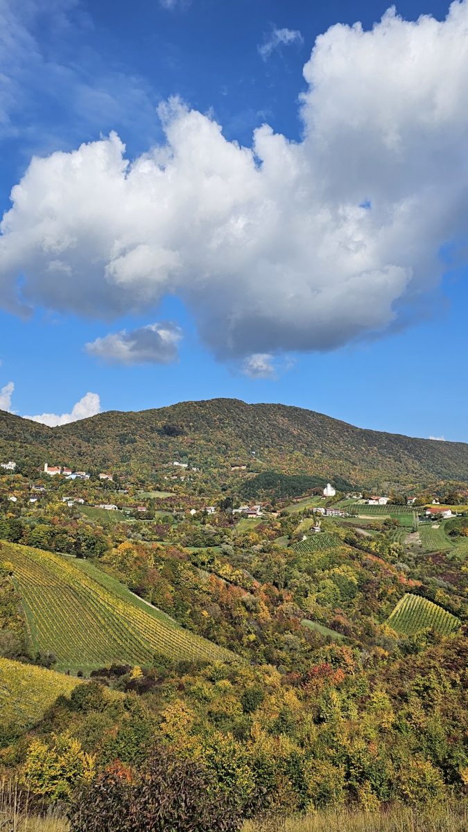 Panorama of vineyards and rolling hills in the Zagreb wine region